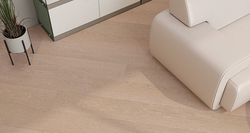 日光森林系列 Ⅱ