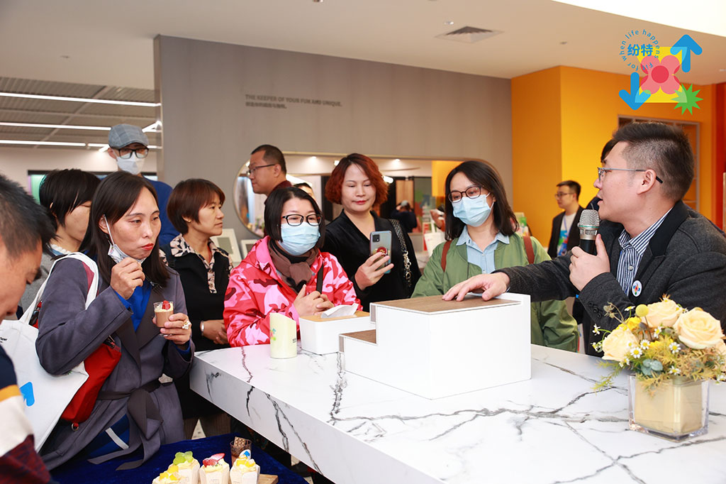 紛特石晶,開啟繽紛之旅 紛特石晶,開啟繽紛之旅